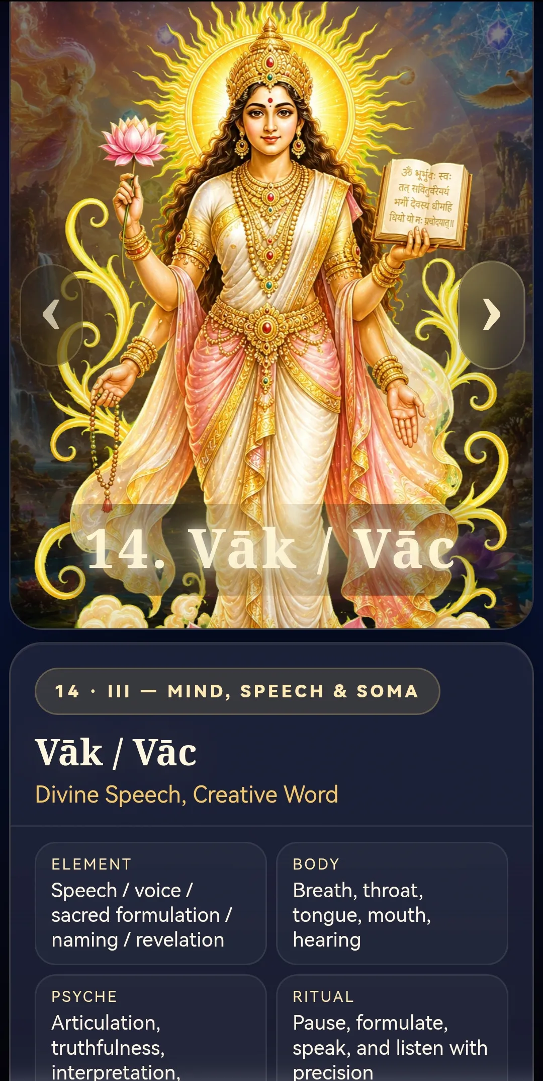 Vedic app power entry
